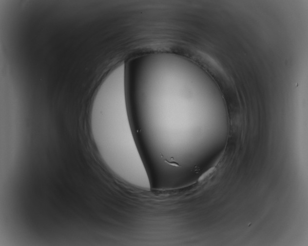 X0000098050120200803280738