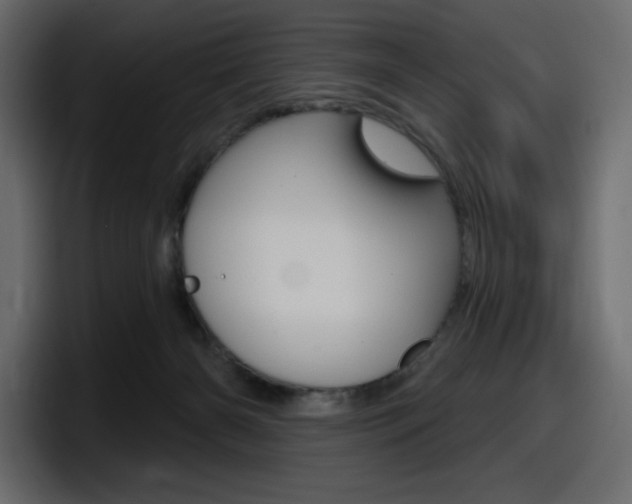 X0000098050126200803280738