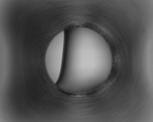 X0000098050129200803280738