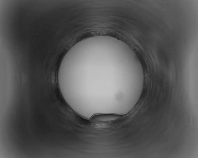 X0000098050134200803280738