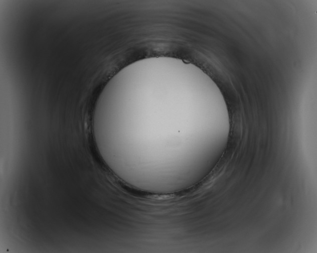 X0000098050135200803280738