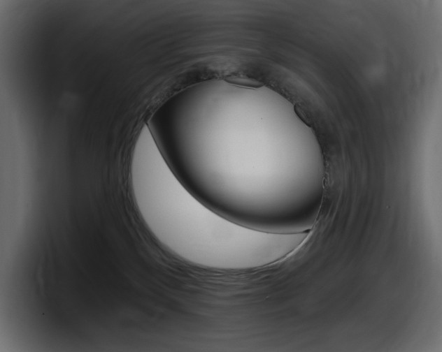 X0000098050136200803280738