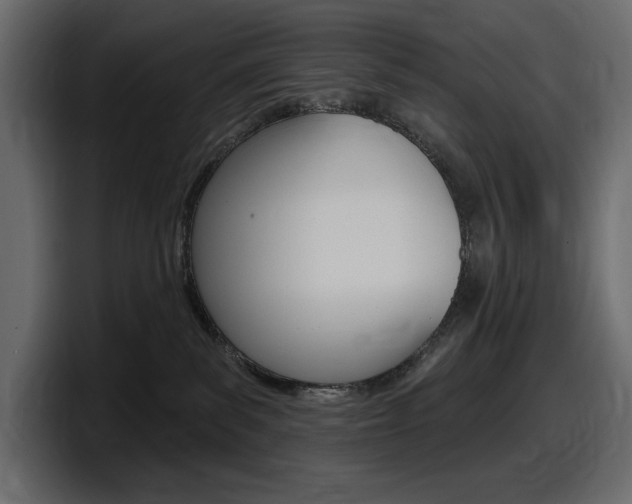 X0000098050139200803280738