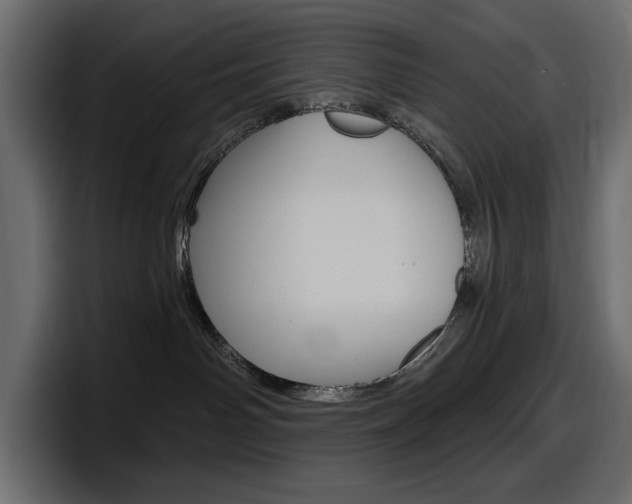 X0000098050142200803280738