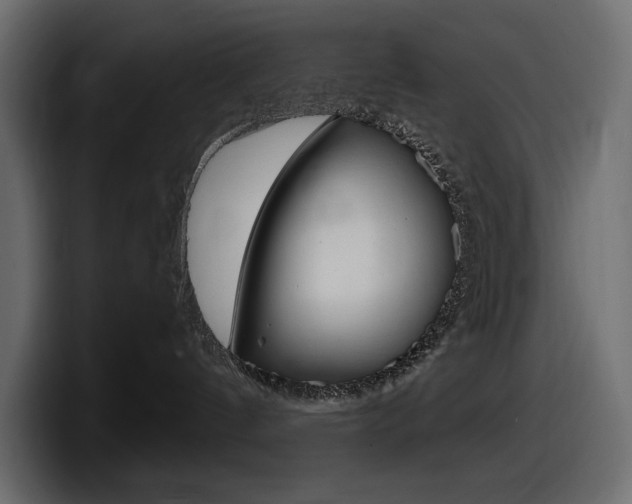 X0000098050144200803280738
