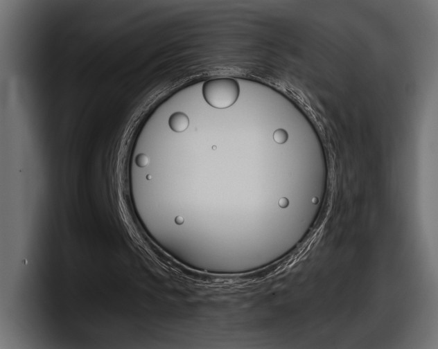 X0000098050145200803280737