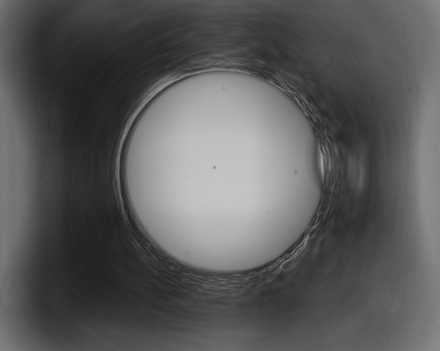X0000098050148200803280737