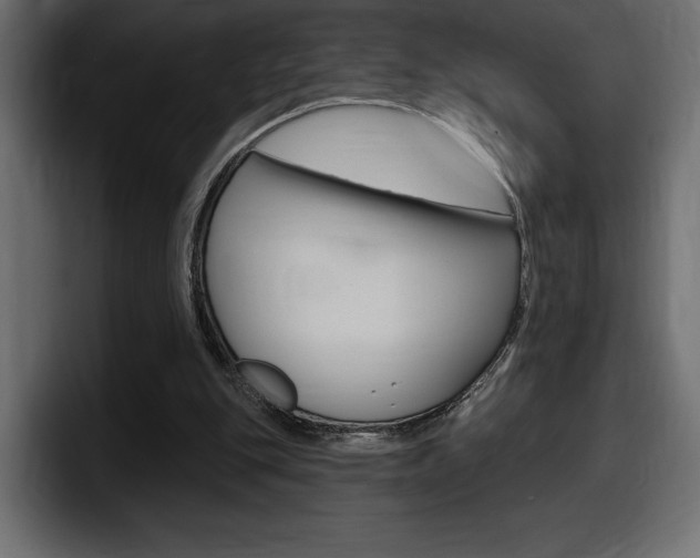 X0000098050151200803280737