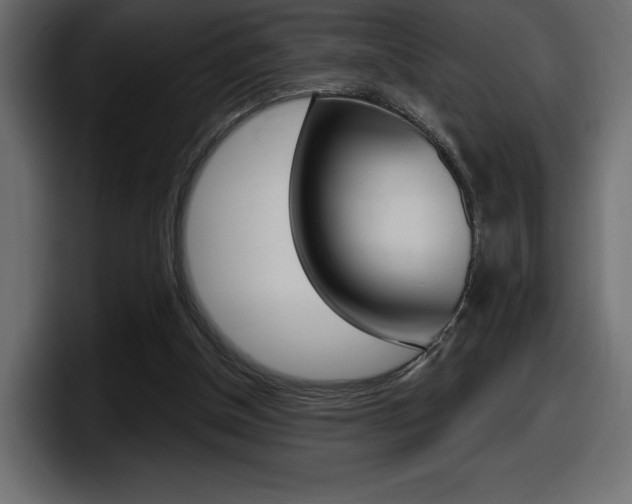 X0000098050154200803280737
