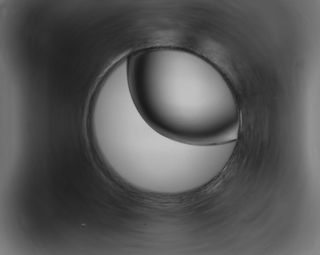 X0000098050156200803280737