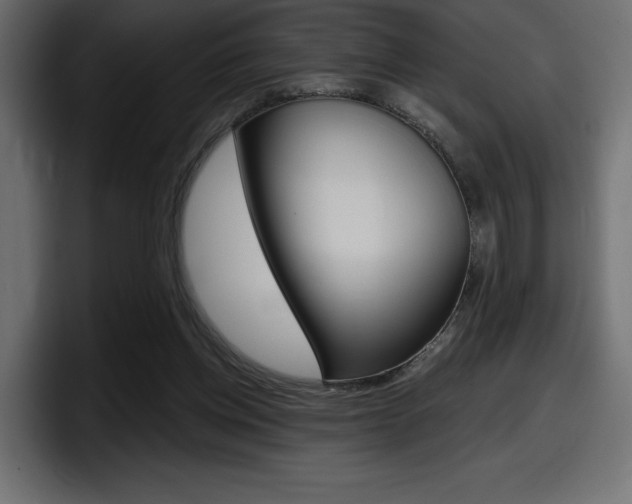 X0000098050158200803280737