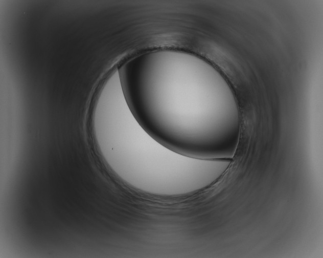 X0000098050160200803280737