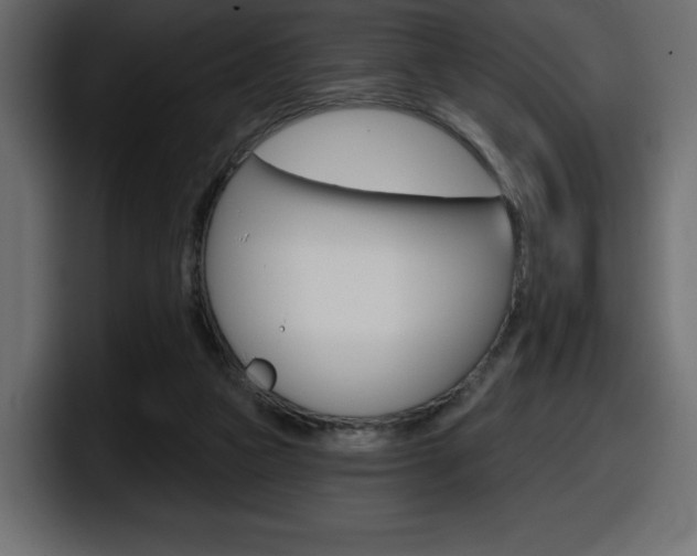 X0000098050161200803280737