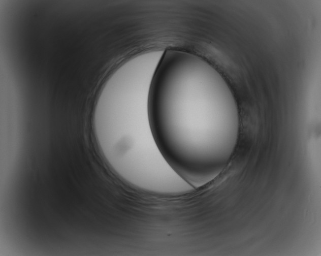 X0000098050164200803280737