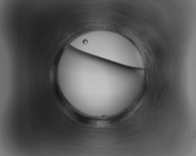 X0000098050165200803280737