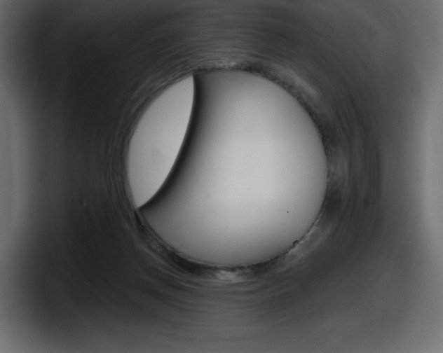 X0000098050166200803280737