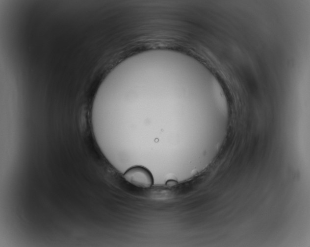 X0000098050169200803280737