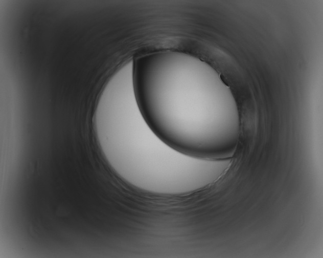 X0000098050172200803280737