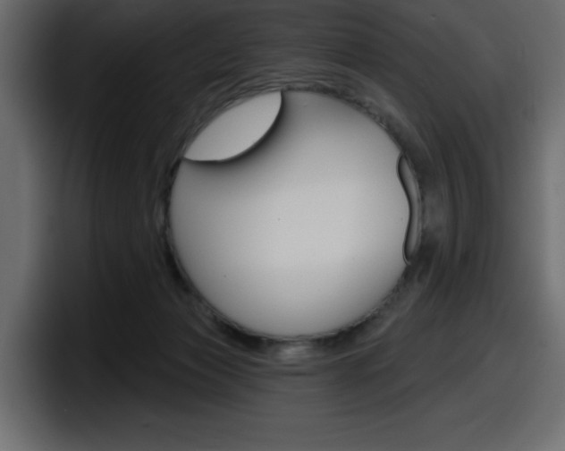 X0000098050173200803280737