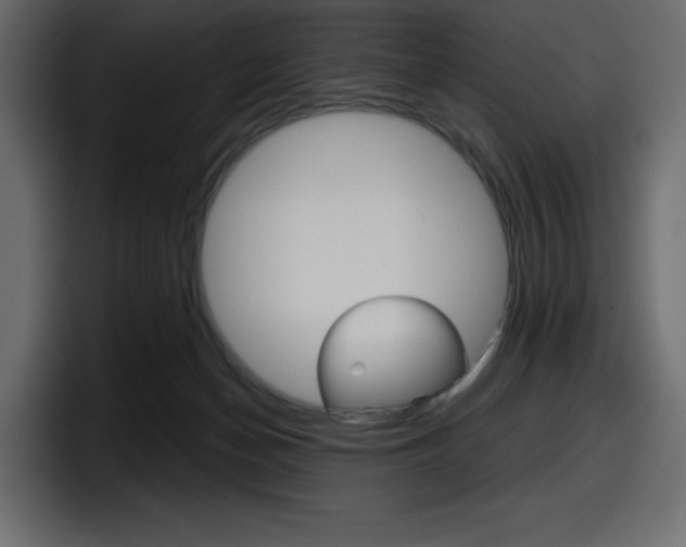 X0000098050174200803280737