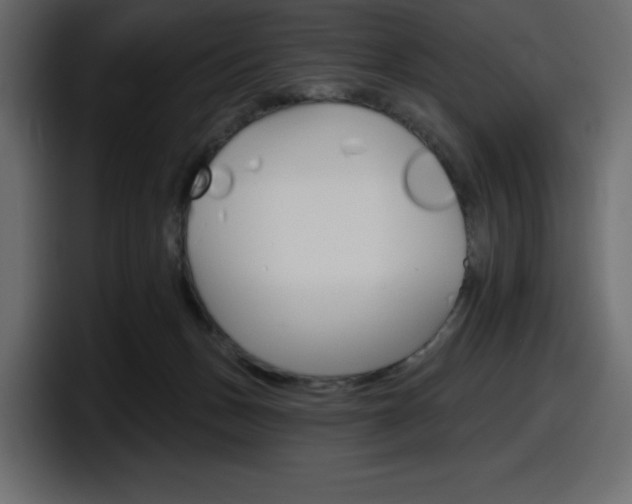 X0000098050175200803280737
