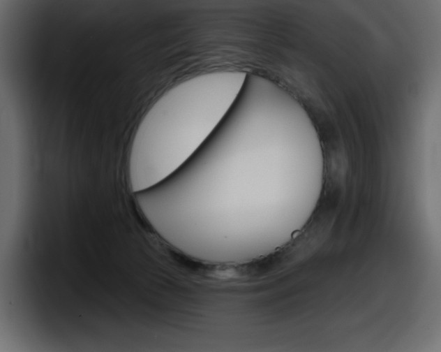 X0000098050177200803280737