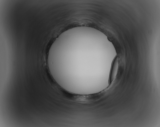 X0000098050182200803280737