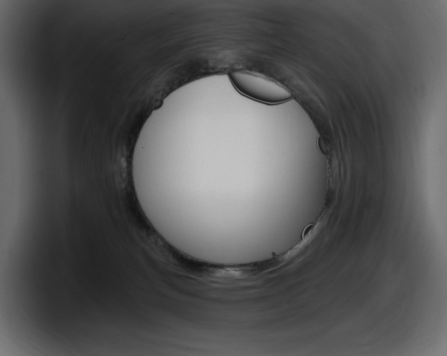 X0000098050183200803280737