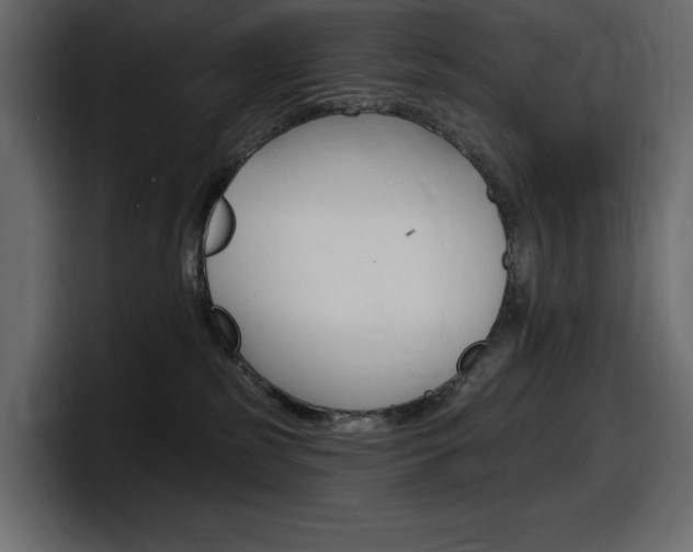 X0000098050185200803280737