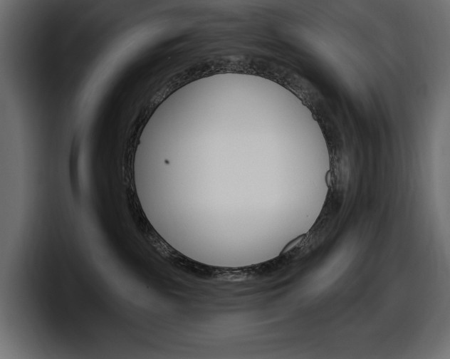 X0000098050189200803280738