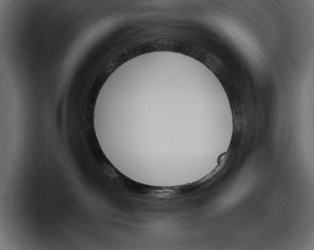 X0000098050190200803280738