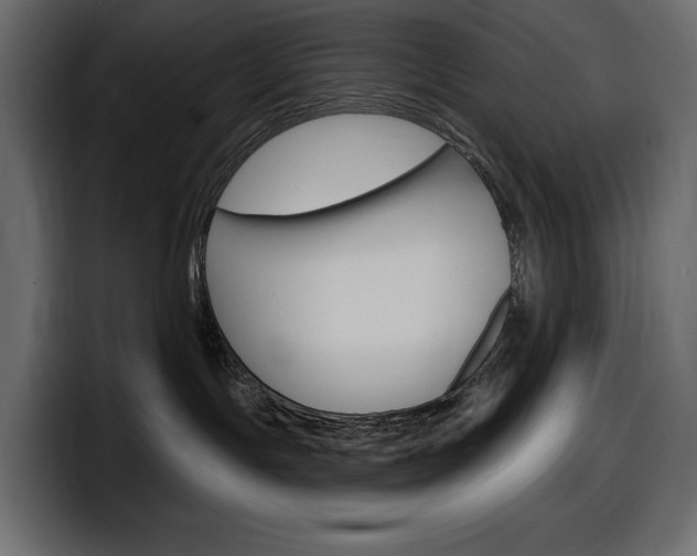 X0000098050191200803280738