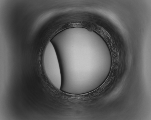 X0000098050194200803280737