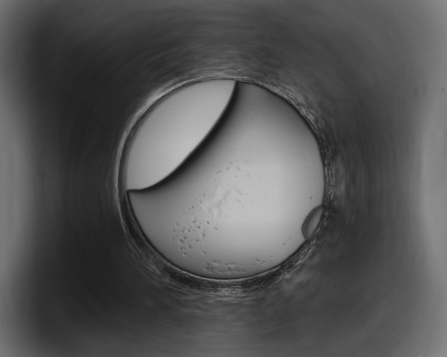 X0000098050196200803280737