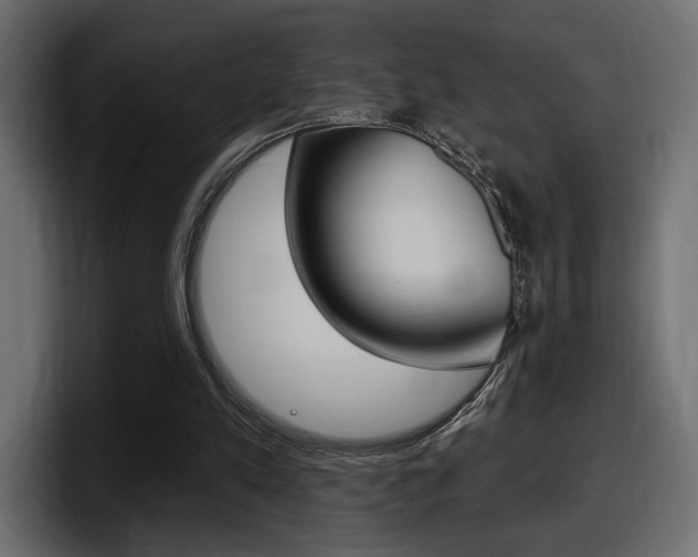 X0000098050197200803280737