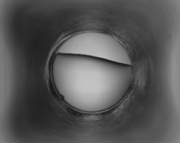 X0000098050198200803280737