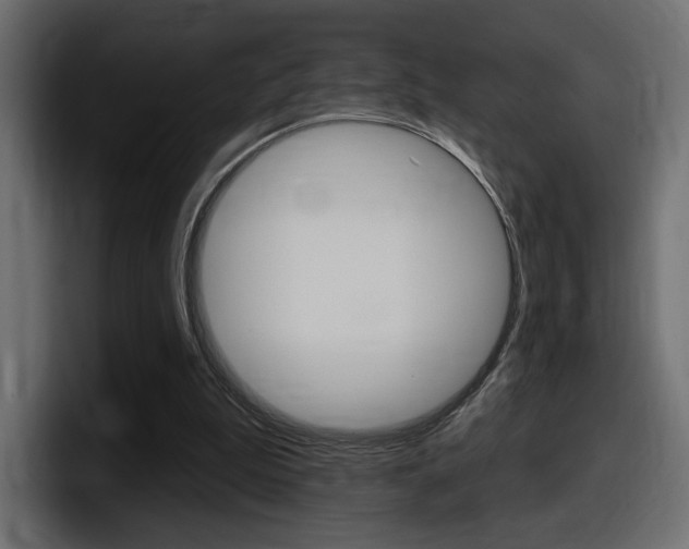 X0000098050199200803280737
