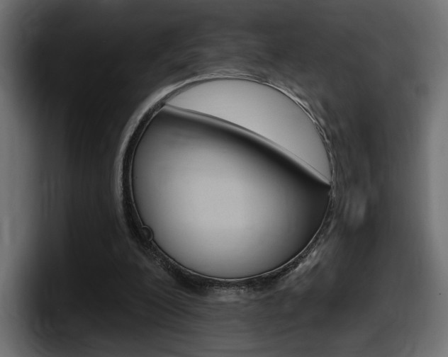 X0000098050200200803280737