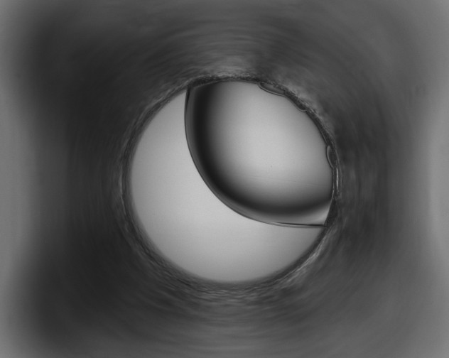 X0000098050201200803280737