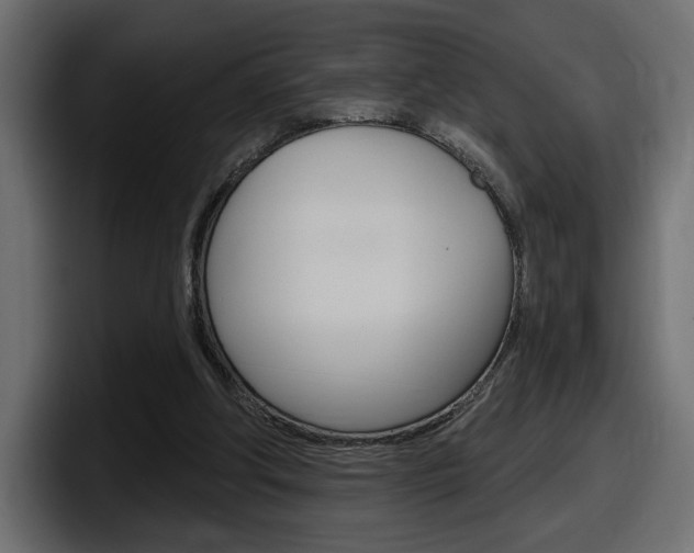 X0000098050202200803280737