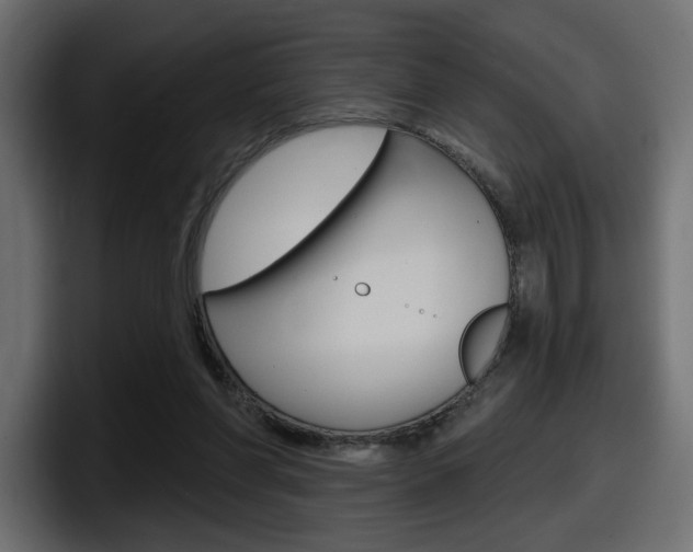 X0000098050206200803280737