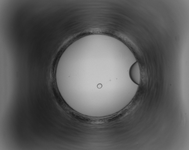 X0000098050208200803280737