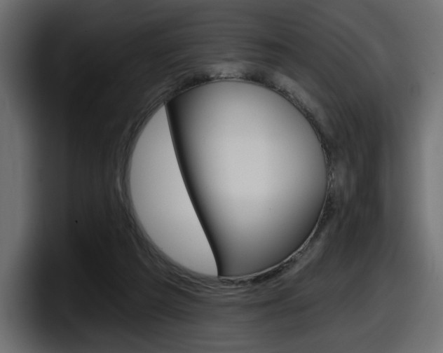 X0000098050209200803280737