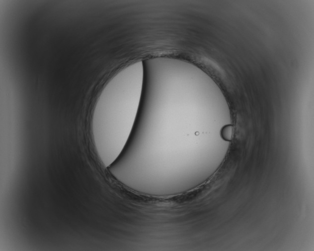 X0000098050210200803280737