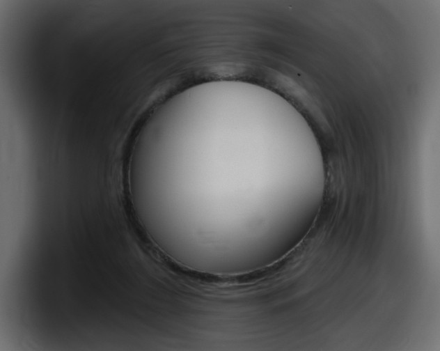 X0000098050212200803280737