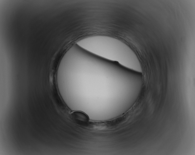 X0000098050214200803280737