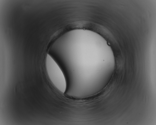 X0000098050216200803280737