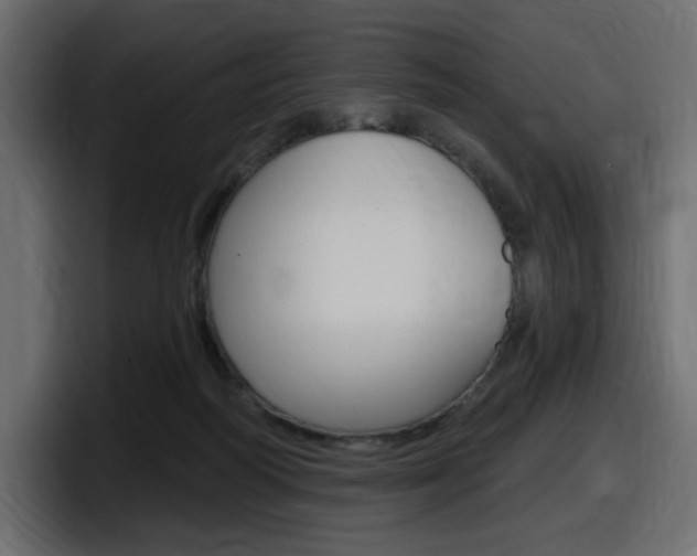 X0000098050218200803280737