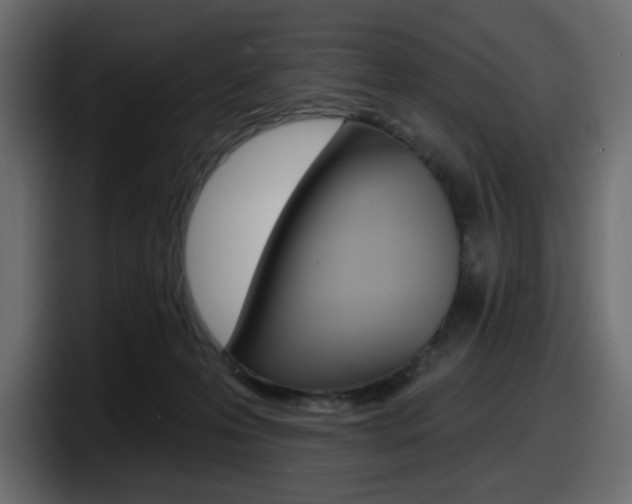 X0000098050223200803280737