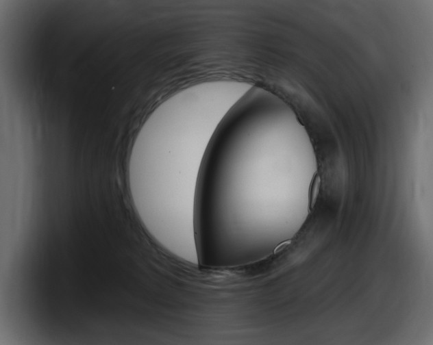 X0000098050229200803280736